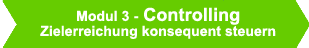 Button - Modul3 Controlling Zielerreichung konsequent steuern grn